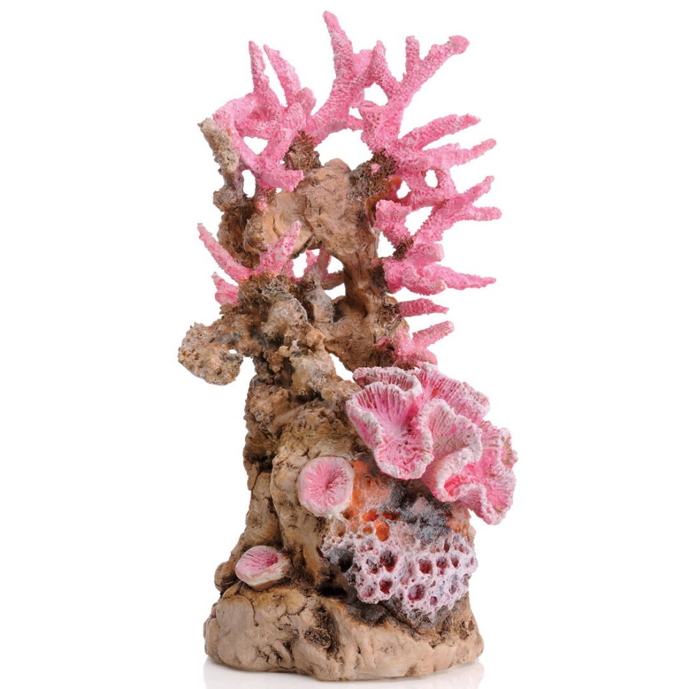 Sam Baker Ornamental Reef Pink Medium