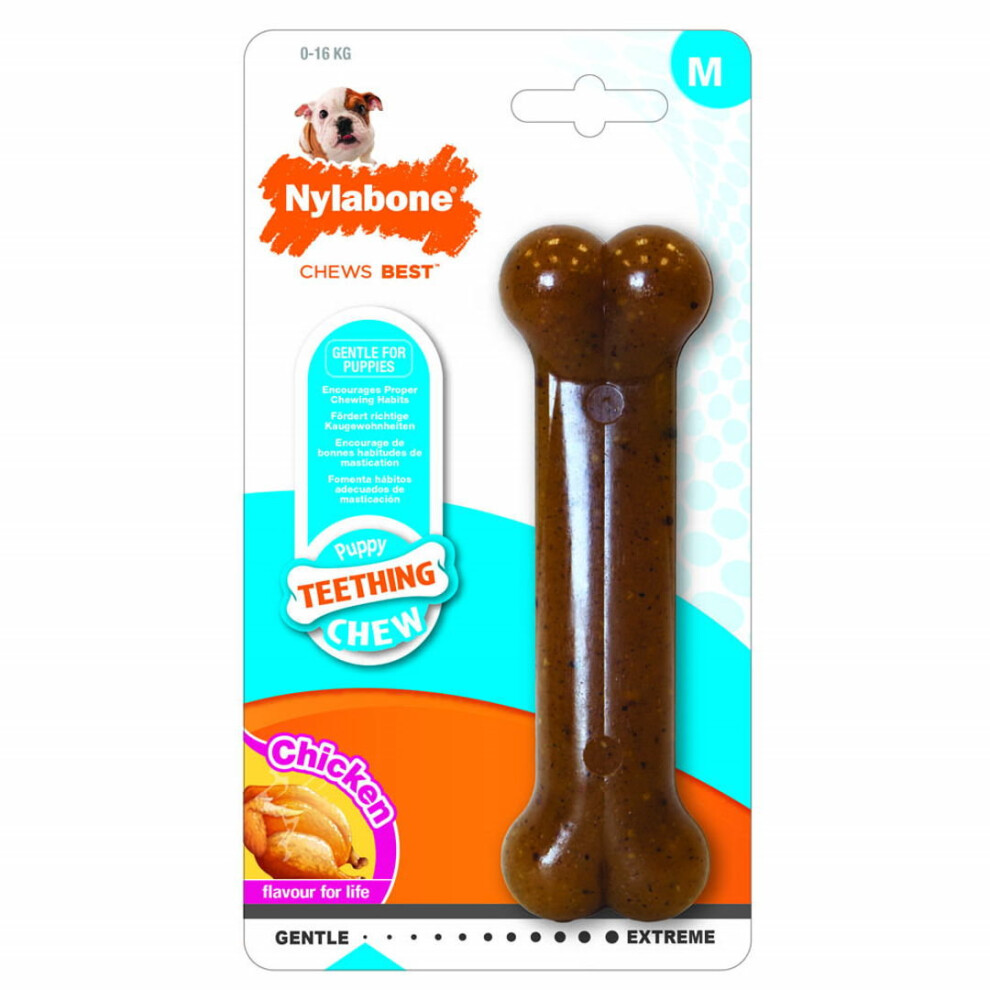Interpet Nylabone Puppy Teething Chew Bone Chicken Medium