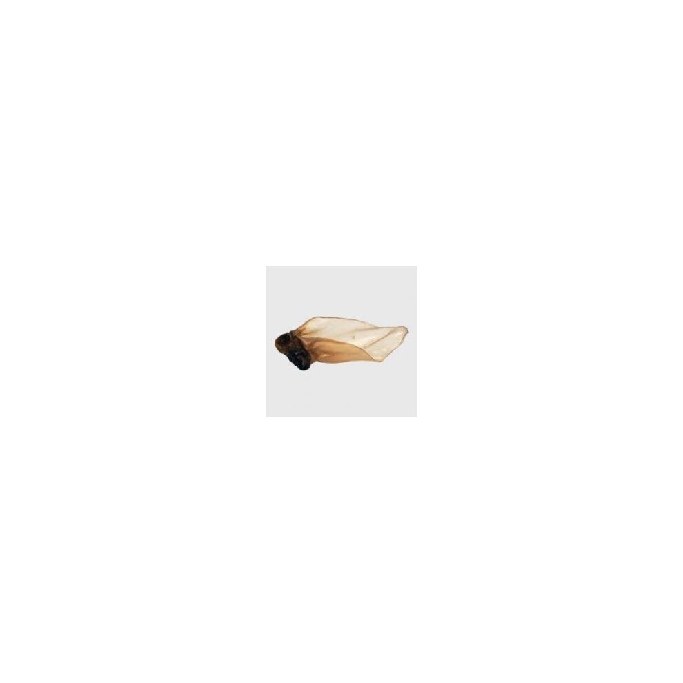 Buffalo Ear&meat Large (50pcs) (Pack of 50)