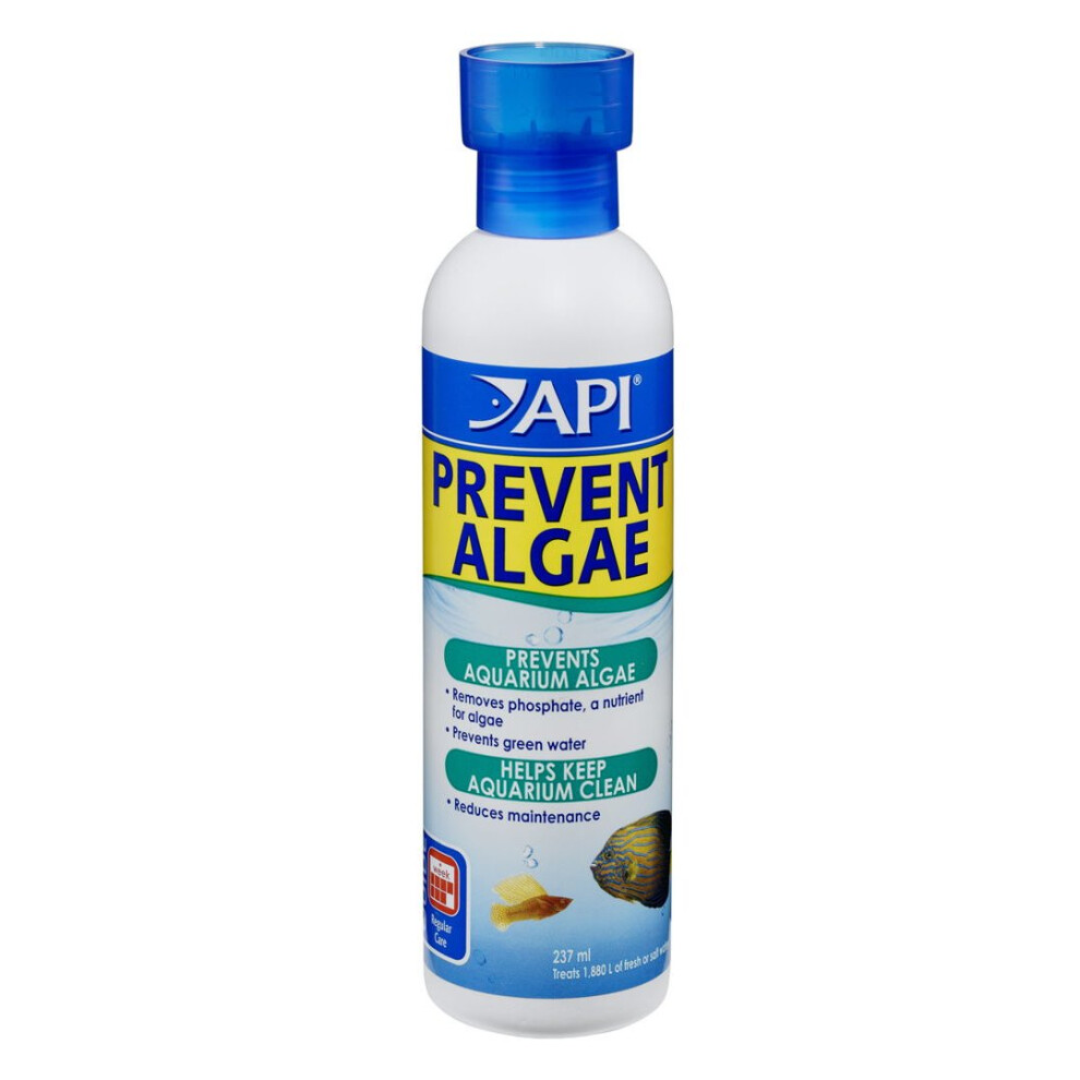 Api Prevent Algae Liquid 237ml