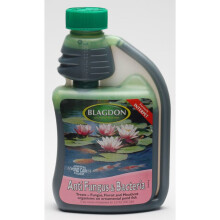 Bd Treatment Anti Fungus & Bacteria 250ml