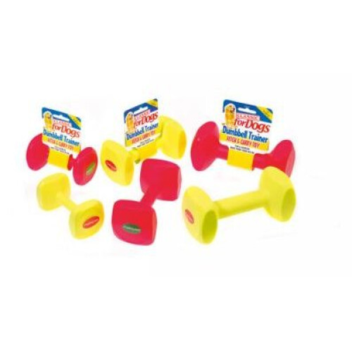 Classic Nylon Training Dumbbell Large 180mm