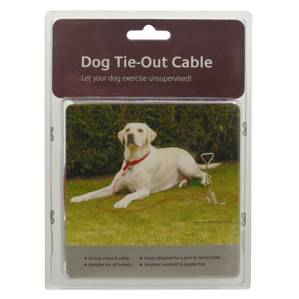 Dog Tie-out Cable 10'