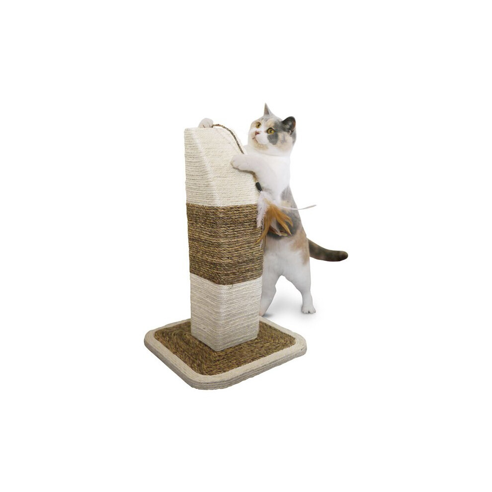 New Rosewood Natural Scratchers Rimini 40112