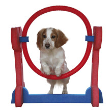 Sml Dog Agility Hoop