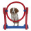Rosewood Sml Dog Agility Hoop 1