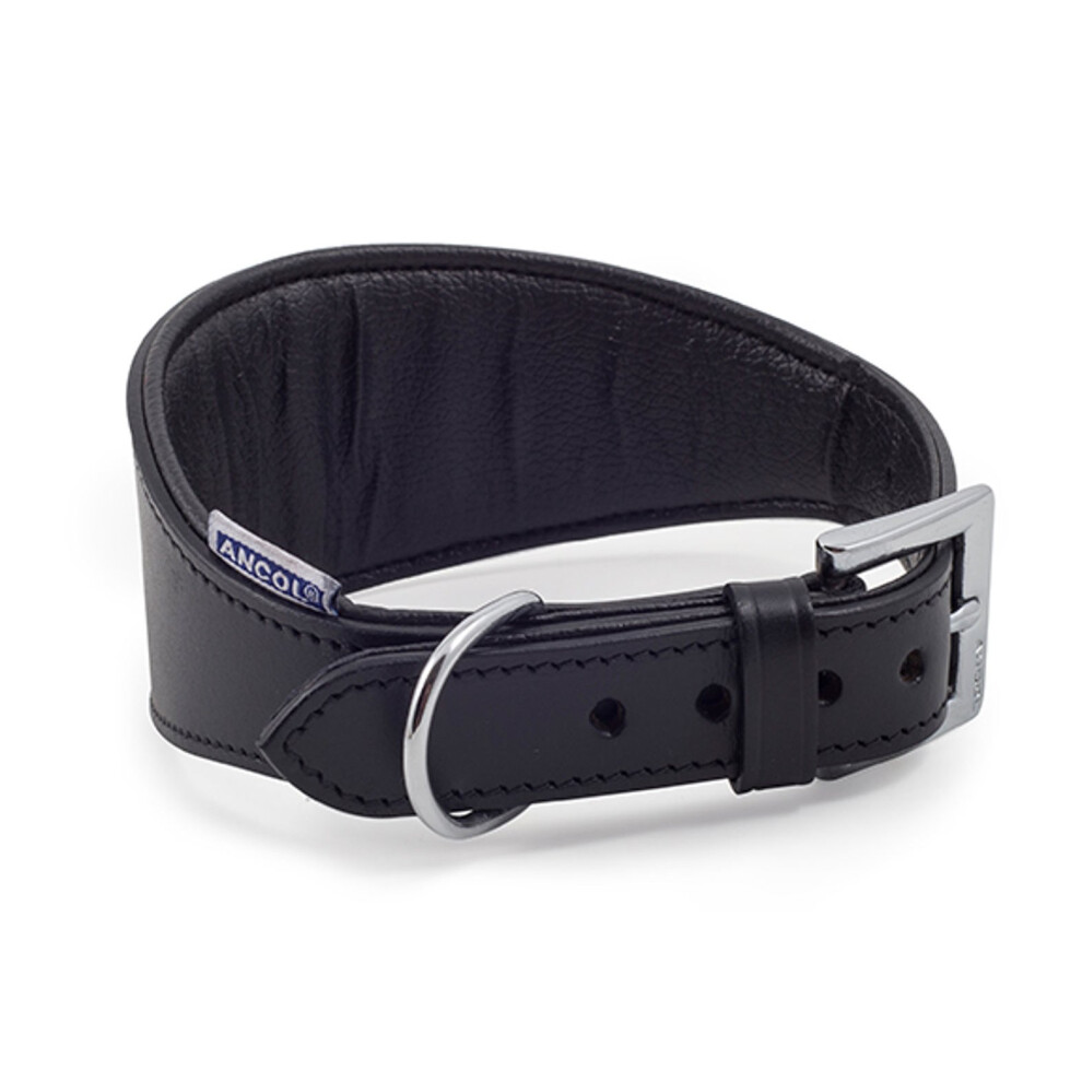 Comfortable Greyhound Padded Adjustable Leather 34-43 cm Dog Collar