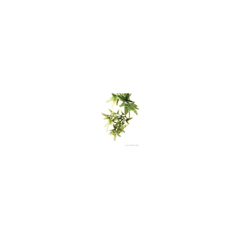 Exo Plastic Croton Shrub (large)