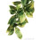 Hagen Exo Plastic Mandarin Shrub (large) 1