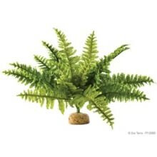Exo Terra Boston Fern Rainforest Plant (medium)