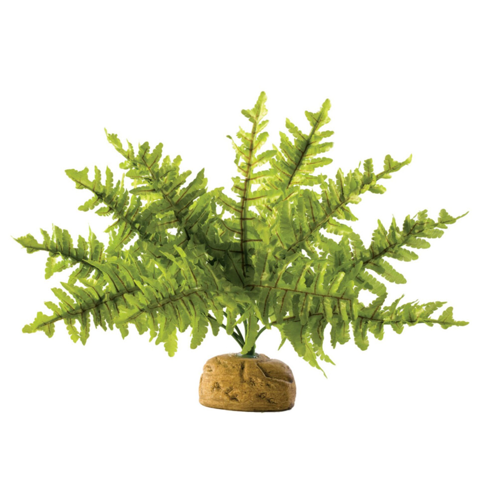 Exo Terra Rainforest Plant Boston Fern Small