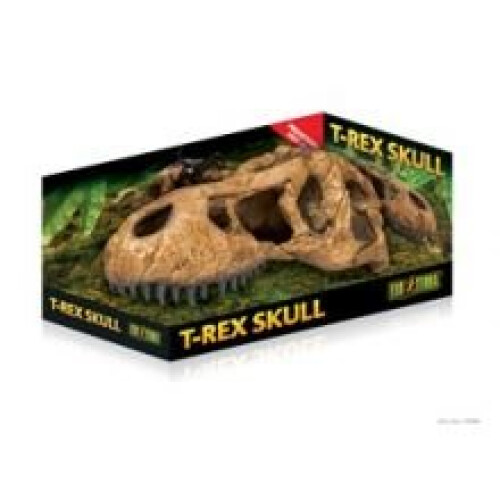 Hagen Exo T-rex Skull