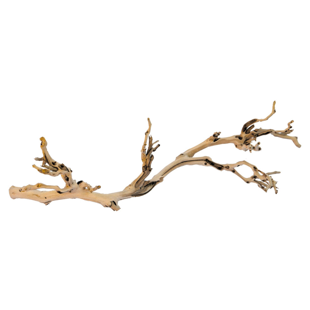 Hagen Exo Terra Forest Branch Small