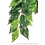 Hagen Exo Terra Silk Fiscus Plant Med 1