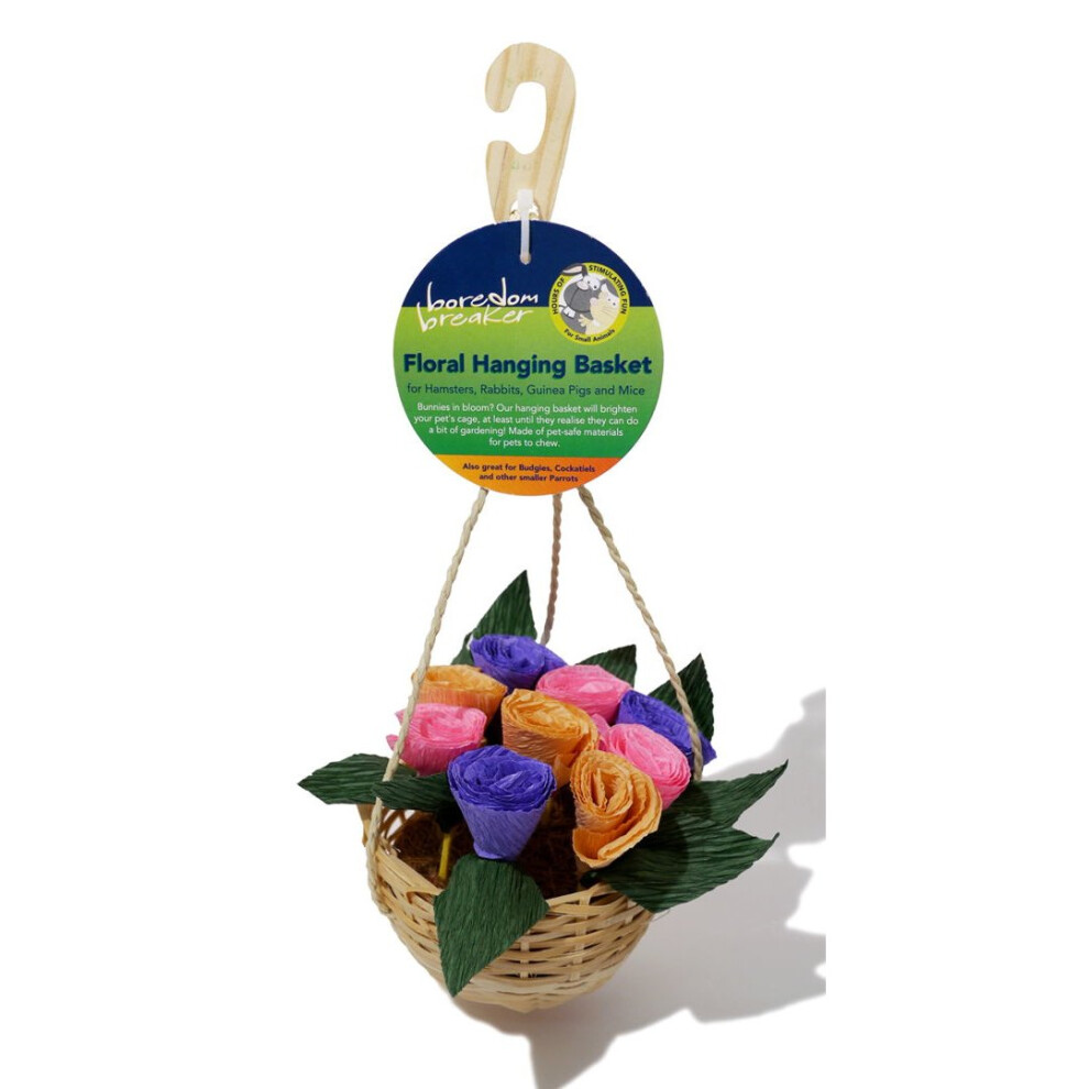 Boredom Breaker Floral Hanging Basket