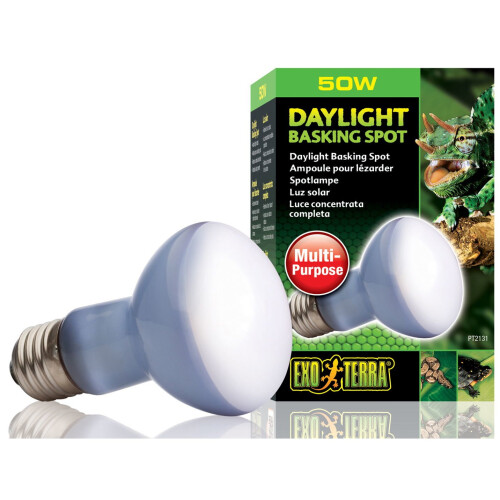 Hagen Exo Terra Daylight Basking Bulb R20 50w