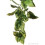 Hagen Exo Plast Amapallo Shrub (medium) 1