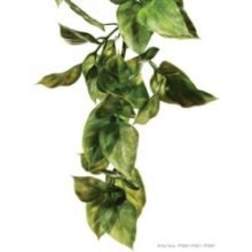 Hagen Exo Plast Amapallo Shrub (medium)