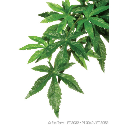 Hagen Exo Terra Silk Abutilon Plant Small