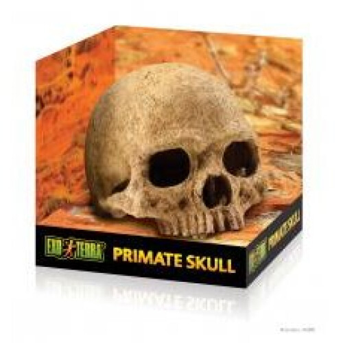 Hagen Exo Terra Primate Skull