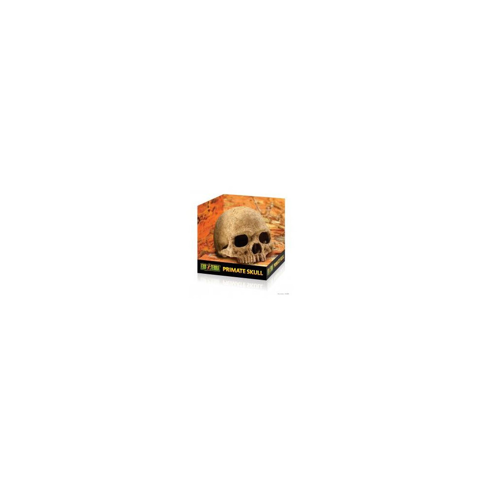Hagen Exo Terra Primate Skull