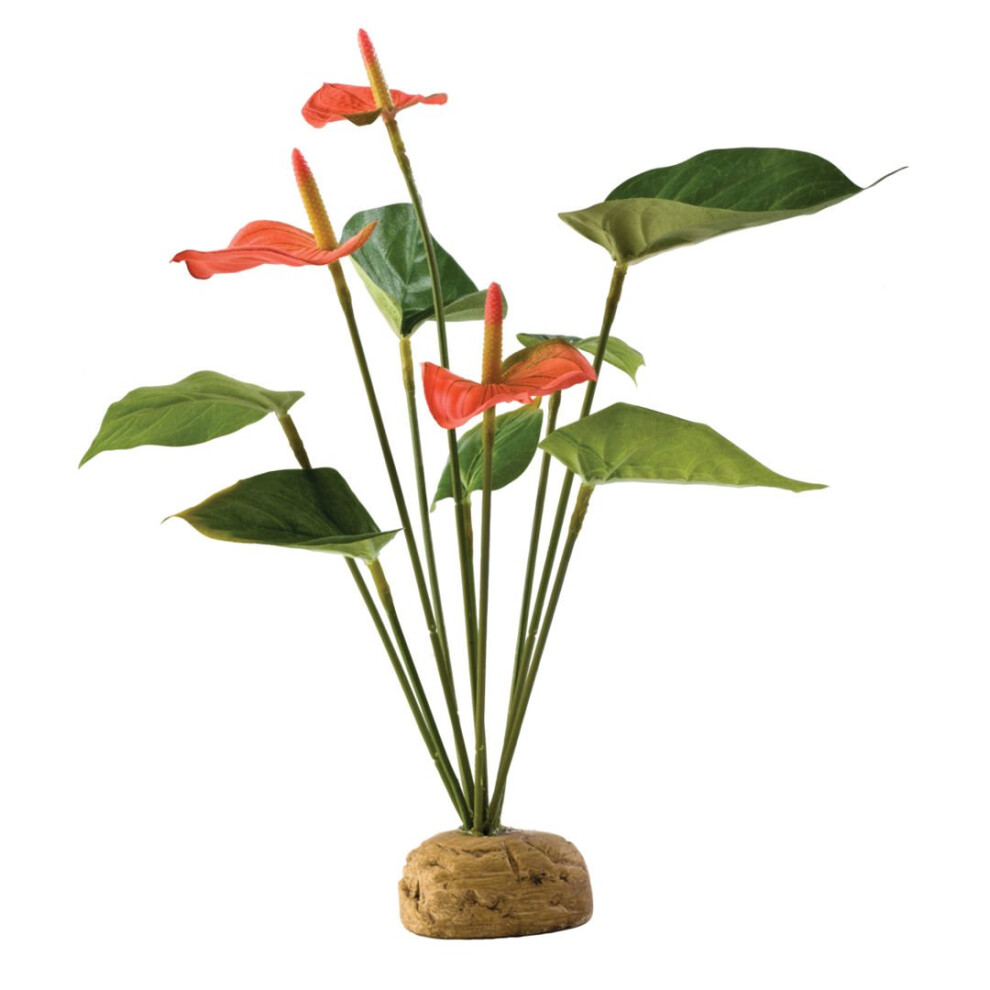 Exo Terra Rainforest Plant Anthurium Bush