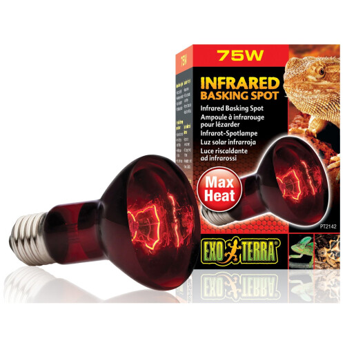 Hagen Exo Terra Basking Spot R20 75w