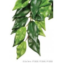Exo Terra Silk Fiscus Plant Small