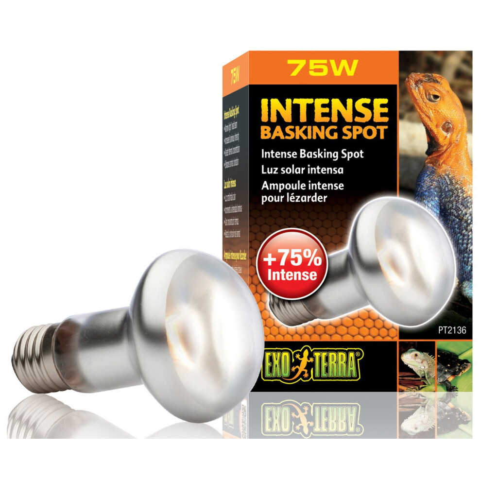 Exo Terra Intense Basking Spot S20 75w