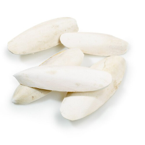Classic Cuttlebones Bulk Pack 5lb(2.27kg)