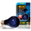 Hagen Exo Terra Night Heat Bulb A19 75w 1