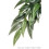 Hagen Exo Terra Silk Ruscus Plant (large) 1