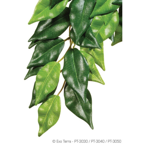 Hagen Exo Terra Silk Fiscus Plant Large