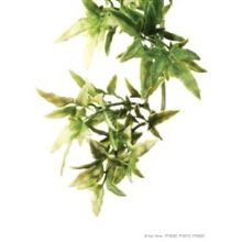 Exo Plastic Croton Shrub (medium)