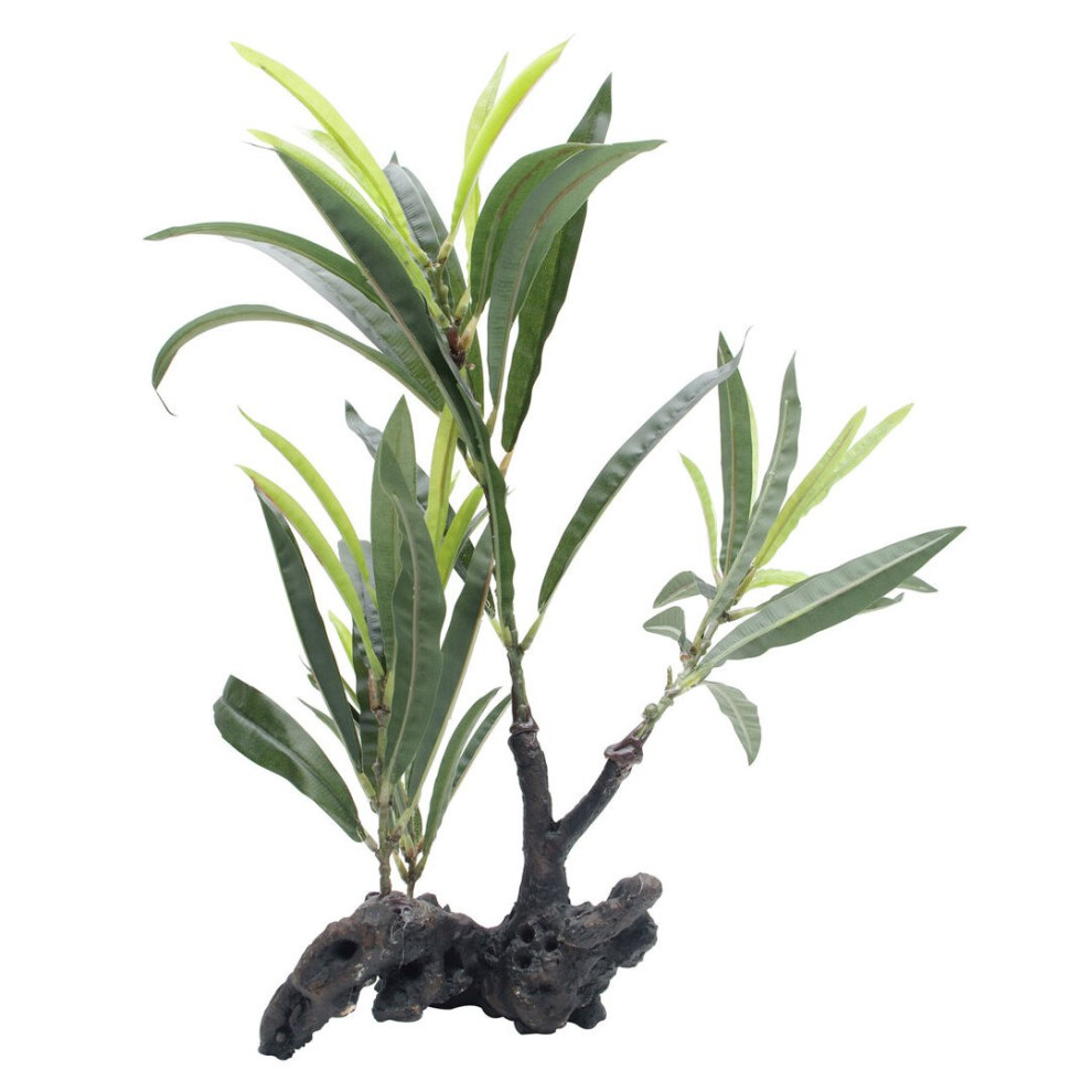 Fluval Plant Root Willow Lf Hygrophila 30cm