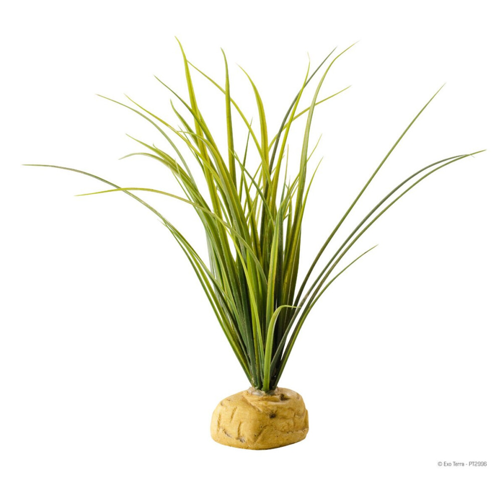 Hagen Exo Terra Turtle Grass