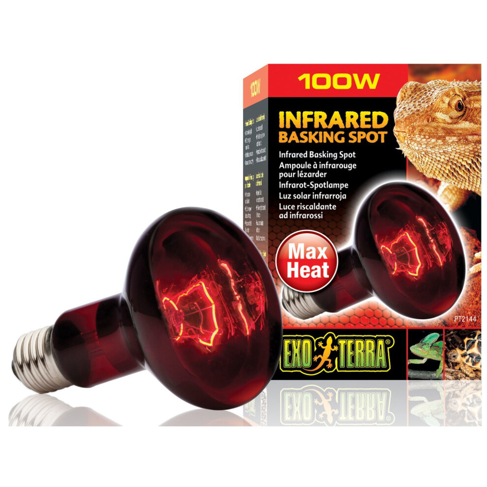 Hagen Exo Terra Basking Spot R25 100W