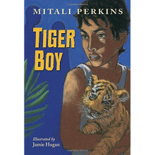 Tiger Boy