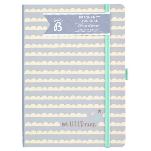 Busy B Clouds Pregnancy Journal Book 1