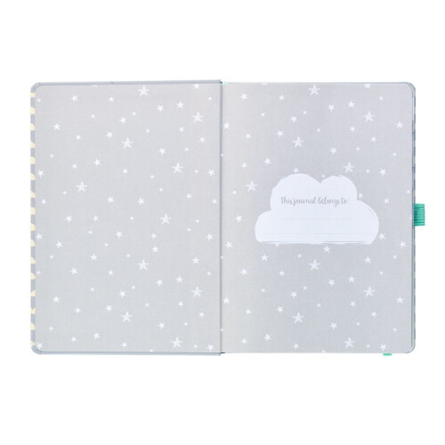 Busy B Clouds Pregnancy Journal Book 2