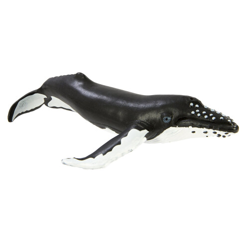 Safari Ltd. Wal Figur – Detailgetreue Miniatur Aus Der Serie „Wild Sea Life“ (für Kinder Ab 3)