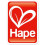 Hape HAP-E0101 Scoot Around - Green 9