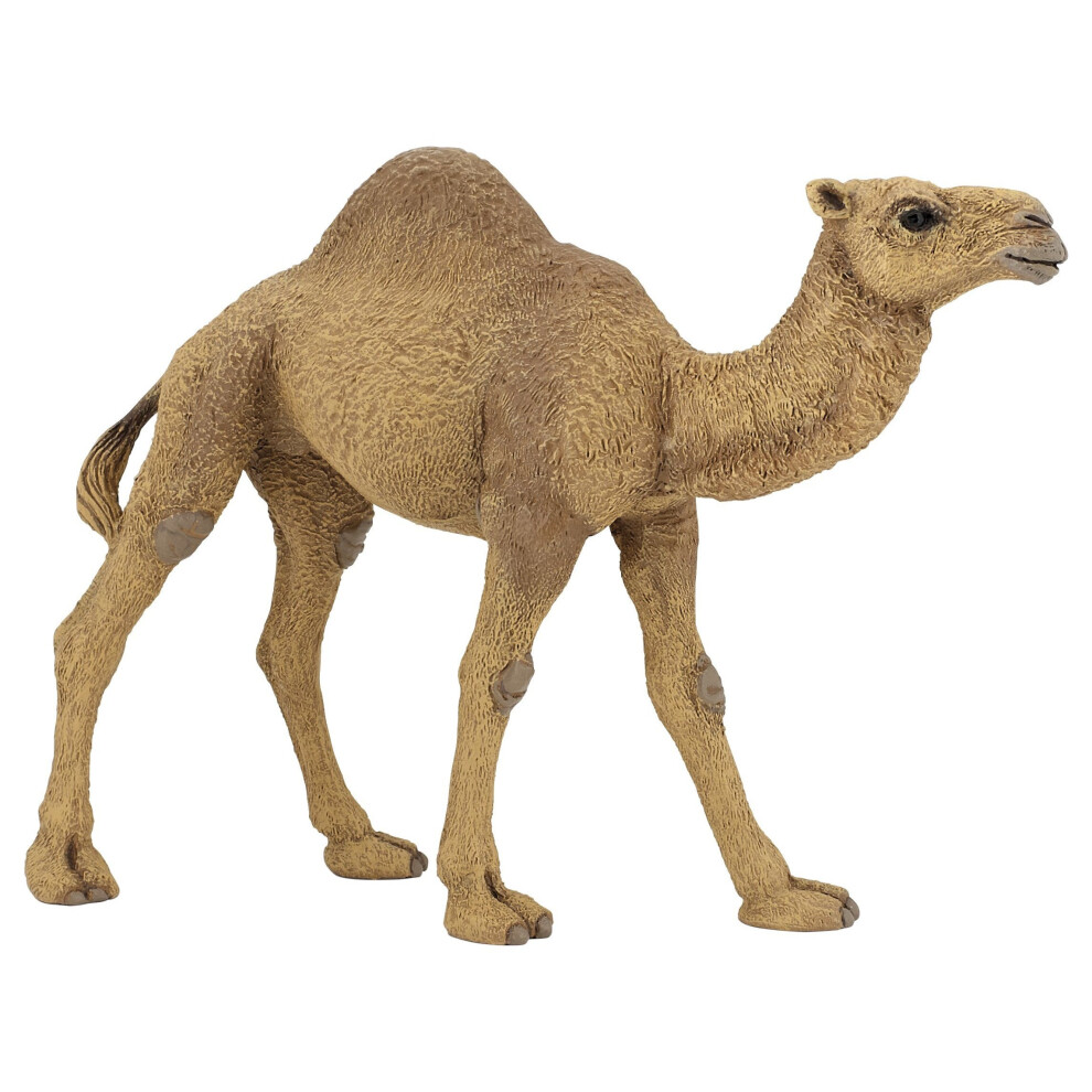 Papo 50151 "Dromedary Figure