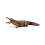 Schleich Schleich 14736 - Wild Life Crocodile 4