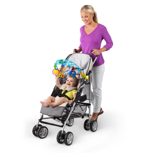 Oball Flex-n-Go Activity Arch Take-Along Toy 1