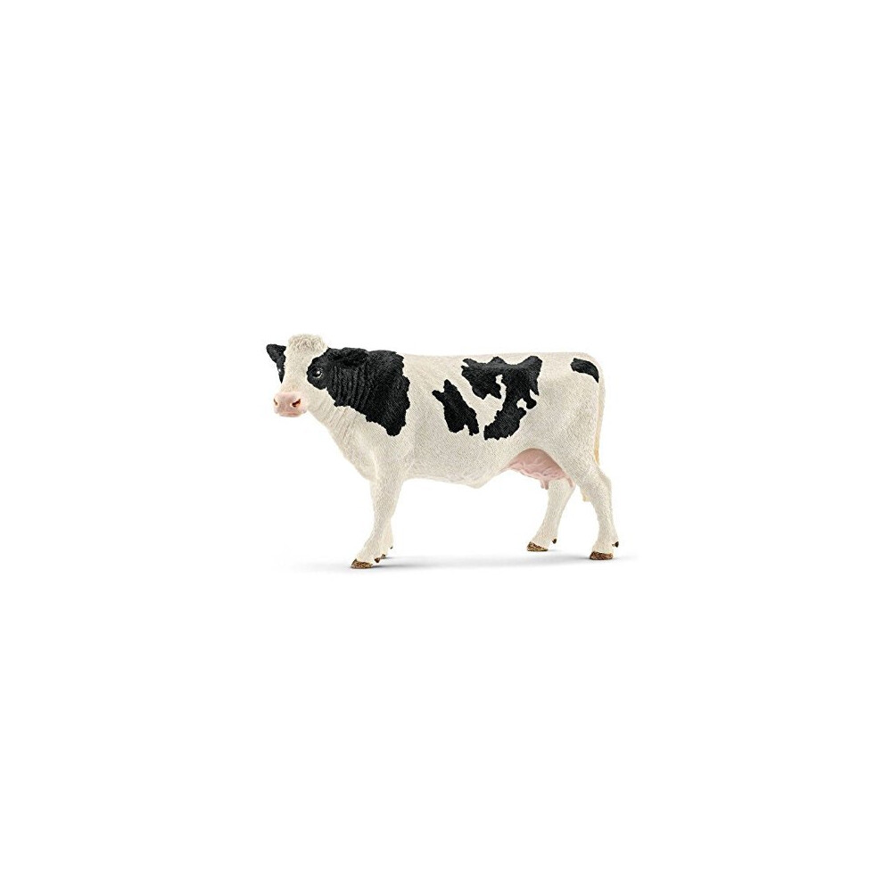 Holstein Cow