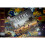 Stonemaier Games STM600 Scythe Board Game 4