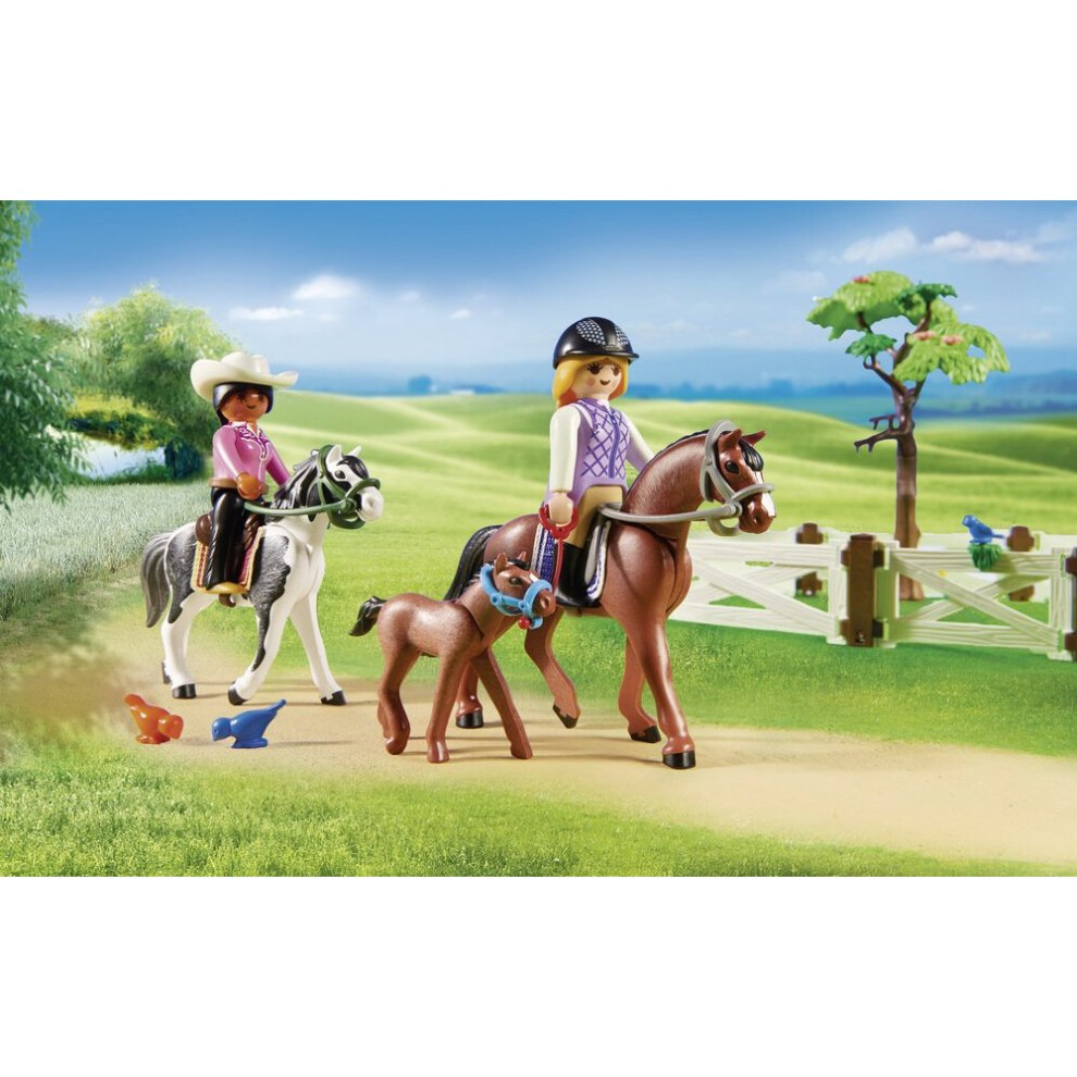 Playmobil horse farm 6926 online