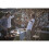 Bose Bose SoundLink Revolve Plus Bluetooth Speaker - Lux Grey 7