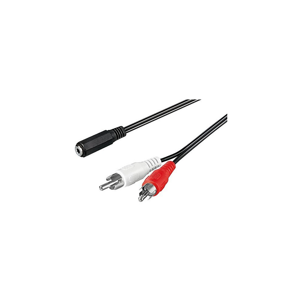 Wentronic 50442-Gb 3.5 Mm Stereo Jack To 2 X Rca Plug Audio Video Cable 4040849504426
